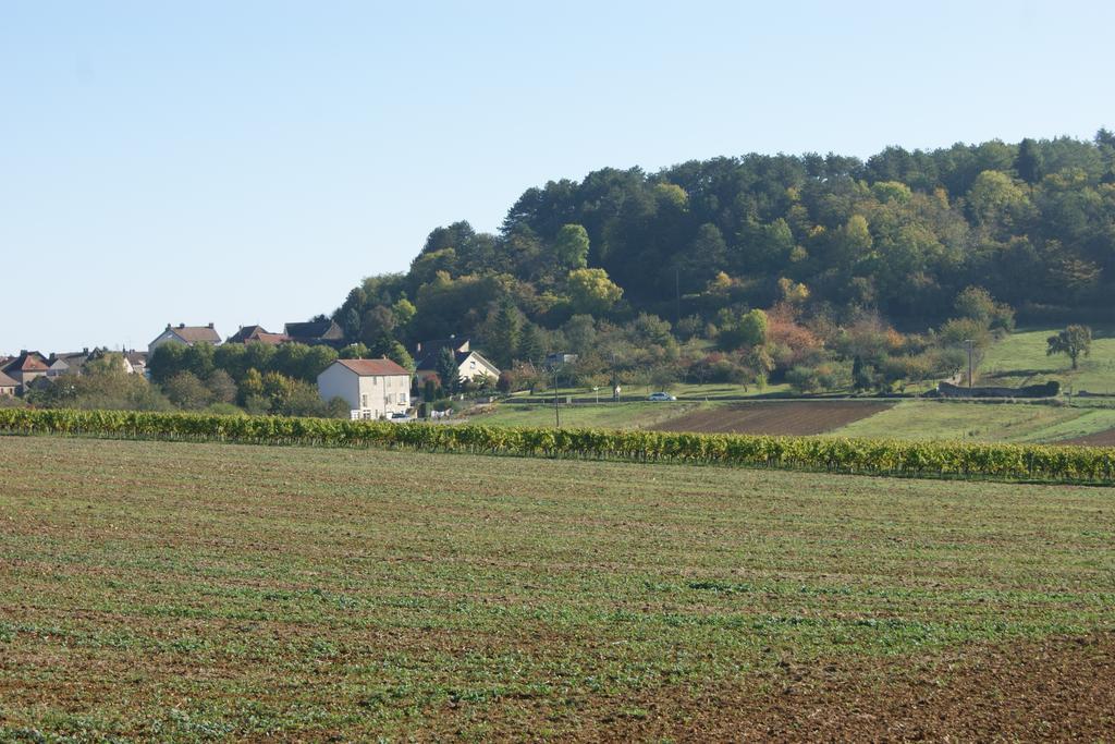 Le Verger Des Hautes-Cotes De Nuits Villers-la-Faye Exterior photo